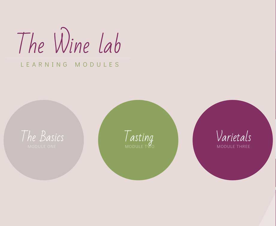 Wine Lab Project Animated Preview